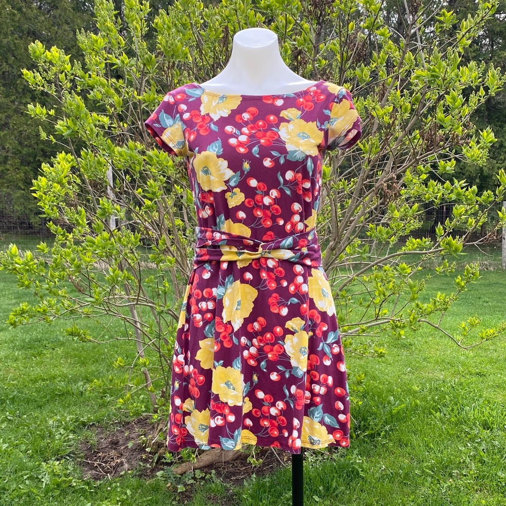 Blue Platypus Cherry Mini Dress